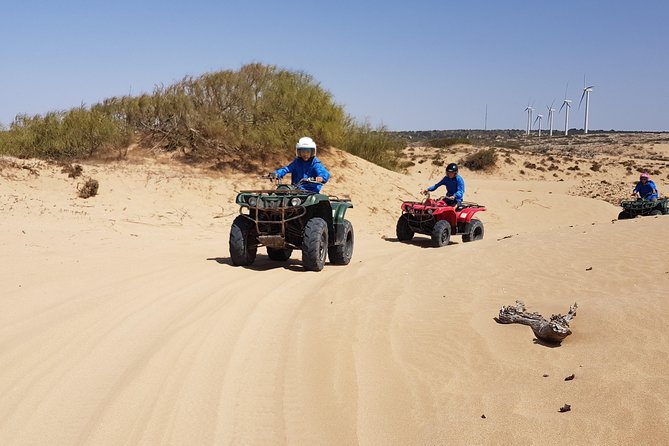 Essaouira: Pleasant Quad tour (free transfer) - Should You Book Diana Quad sarl’s Pleasant Quad Tour?