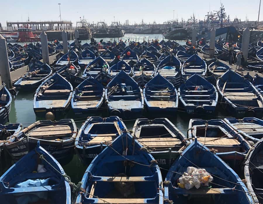 Essaouira: Private City Tour - Scala of the medina and film-location stories that make the walls feel alive