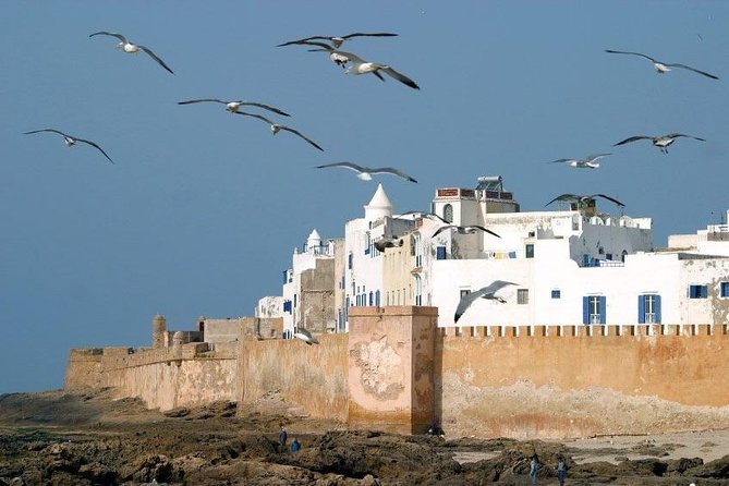 Essaouira Private Full Day Trip From Marrakech - Essaouira Beach Free Time: What to Do With Your Hours on the Atlantic