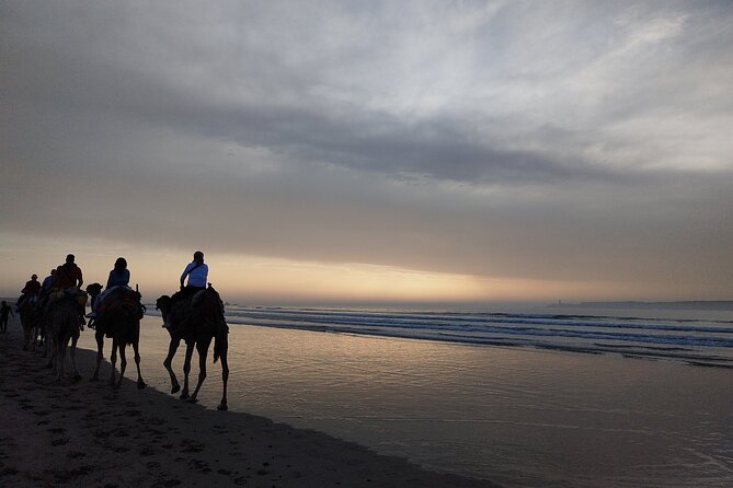 Essaouira Private Full Day Trip From Marrakech - Private Tour Value at $17.42: Where the Bargain Really Comes From