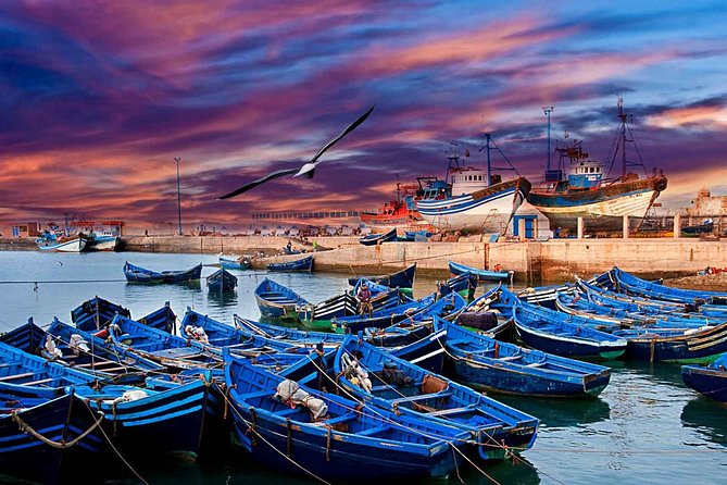 Essaouira Private Full Day Trip From Marrakech - Entering Essaouira’s Medina and Market Streets: Shopping, Senses, and Finding Your Pace