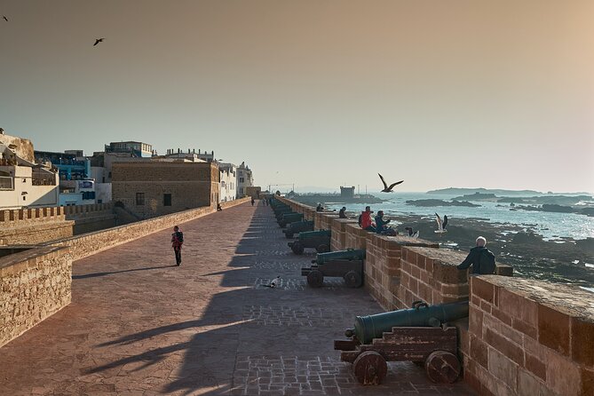 Essaouira Private Tour from Marrakech - What I’d watch for: timing, van changes, and how guided it feels