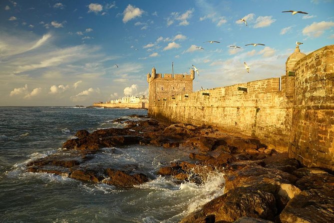 Essaouira Private Tour from Marrakech - Walking Essaouira’s port: fishermen, boats, and the UNESCO atmosphere