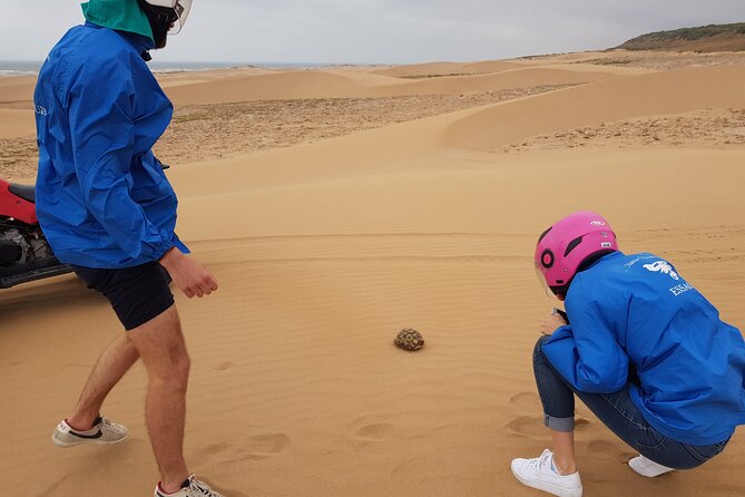 Essaouira: Quad dunes beaches ride (free transfer). - Key Highlights You’ll Feel From Minute One