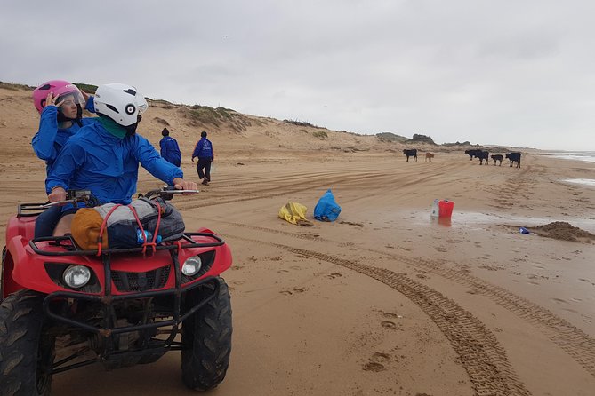 Essaouira: Quad tours (free transfer) - The Real Route: Dunes, Forest, and Wild Beach Feel Near Essaouira