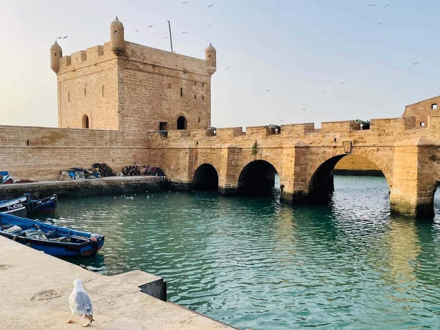 Essaouira: Sqala du Port, Citadel, Fish Market & Medina Tour - Booking this Essaouira tour: should you do it?