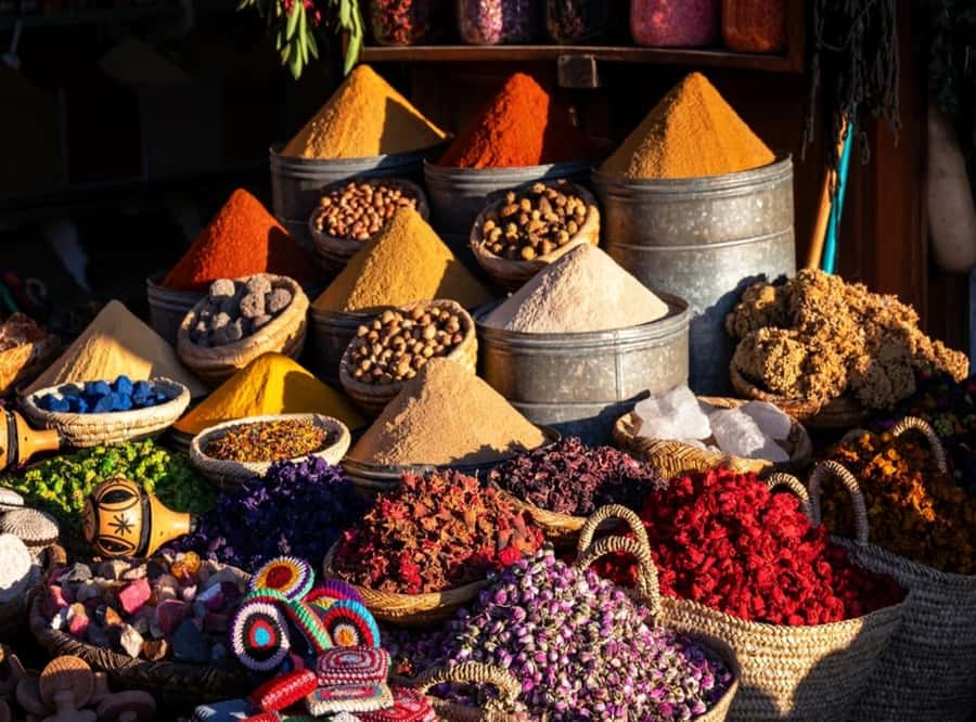 Essaouira: Sqala du Port, Citadel, Fish Market & Medina Tour - Who this tour suits (and who might want something else)