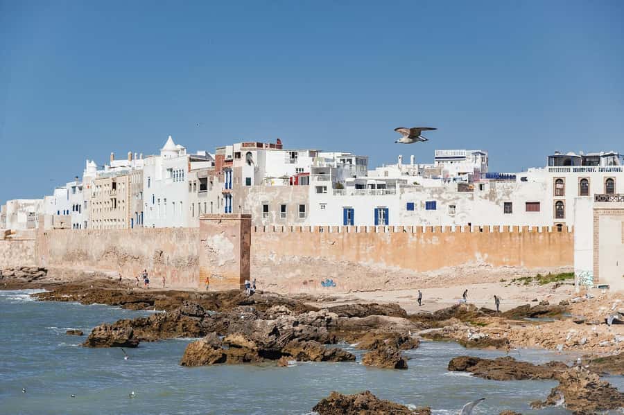 Essaouira: Sqala du Port, Medina Ramparts & Fish Market Tour - UNESCO Medina Alleys: Thuya Wood and Silver Without the Confusion