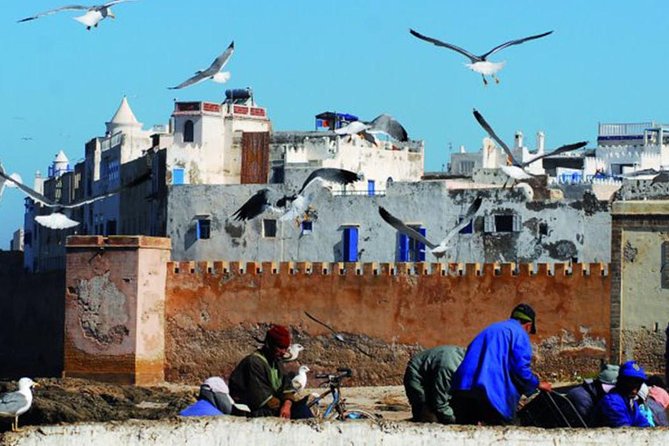 Essaouira Tour from Marrakech shared small-group - A 8:45 departure that saves you from taxi math
