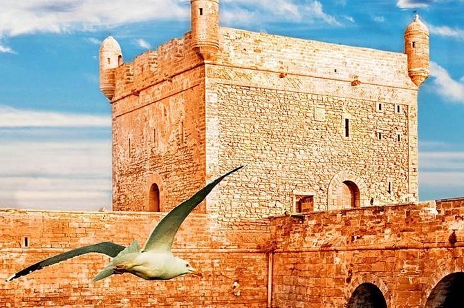 Essaouira Tour from Marrakech shared small-group - Timing reality: how stops can stretch your day