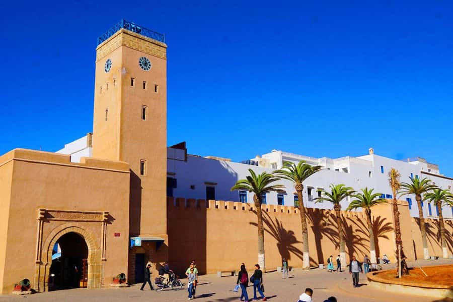 Essaouirra day trip from Marrakech - Beaches and Gnawa rhythms: use the free time like a local