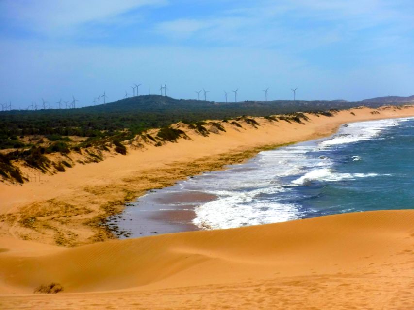 Essaouria: Beach & Big Dunes 2-Hour Quad Biking Tour - Crossing Oued Ksob and the Sultan’s Palace ruins