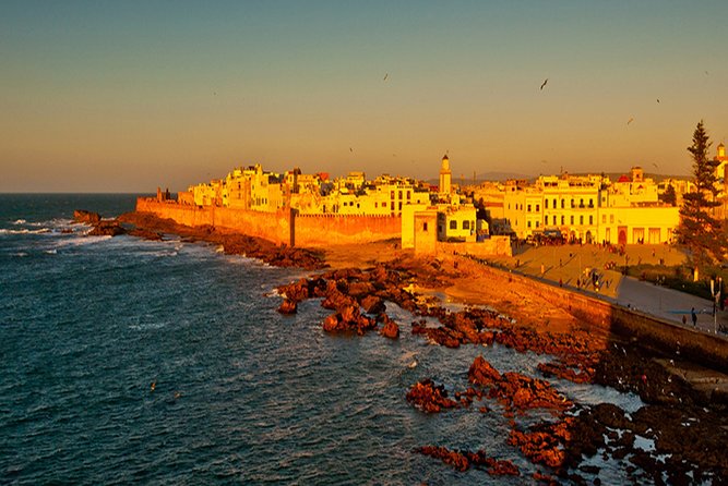 Essouira Full-Day Tour from Agadir with a group - Imsouane: the argan-tree goat stop that breaks up the drive