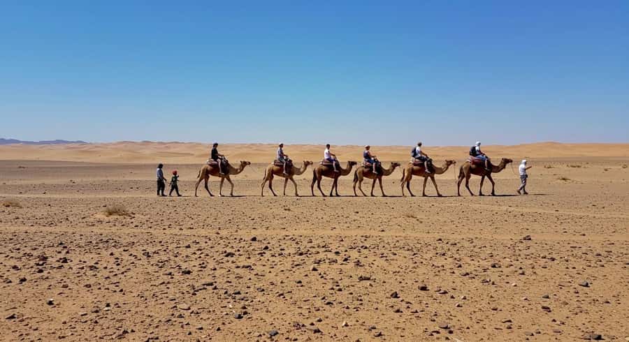 Evening Marrakech: Agafay Desert Quad , Camel & Dinner Shows - Price and Value: Why This Evening Works for $23