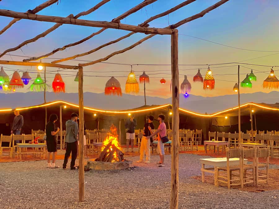 Evening Marrakech: Agafay Desert Quad , Camel & Dinner Shows - Argans and Tea: The Cooperative Stop You’ll Be Glad You Included
