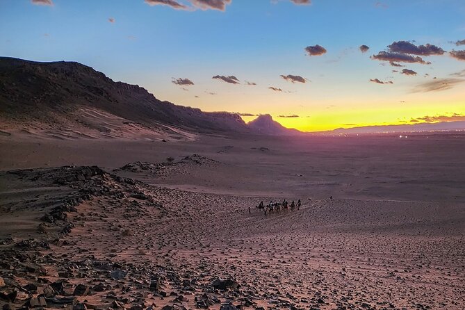 Exclusive 10 Day Private Discover Morocco Tour from Casablanca - Fossils at Erfoud, Todra cliffs, and the red-rock drama of Dades