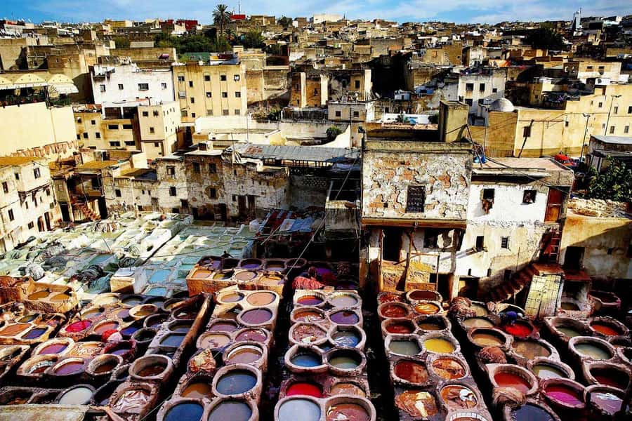 Exclusive Fez Medina Walking Tour with a local Guide - Time, pace, and practical logistics inside the medina