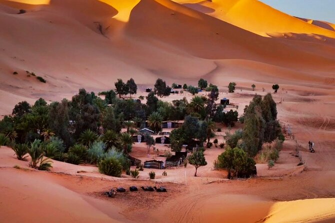 Exclusive Merzouga Desert Safari: Camel Ride, Sandsurf & Dinner - Price and Value in Context