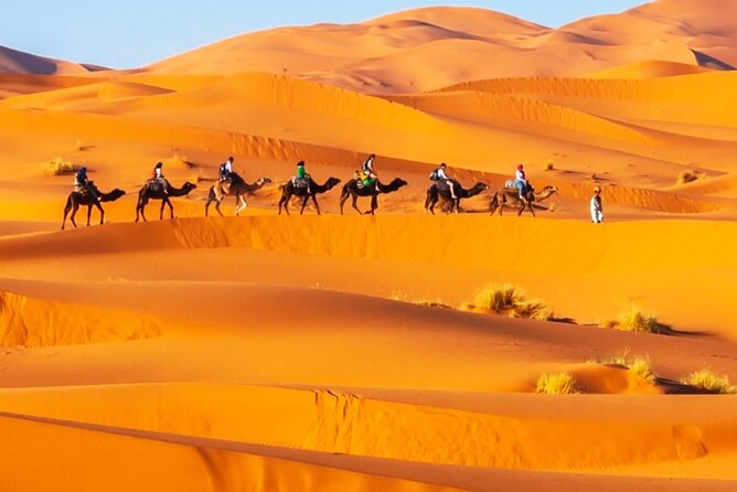 Exclusive Merzouga Desert Safari: Camel Ride, Sandsurf & Dinner - Should You Book This Merzouga Camel and Sand Safari?