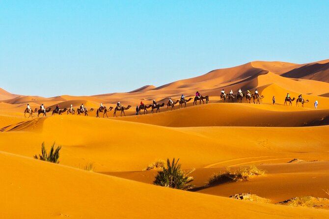 Exclusive Merzouga Desert Safari: Camel Ride, Sandsurf & Dinner - ATV Dunes at 4:00 pm and a Sunset Photo Stop