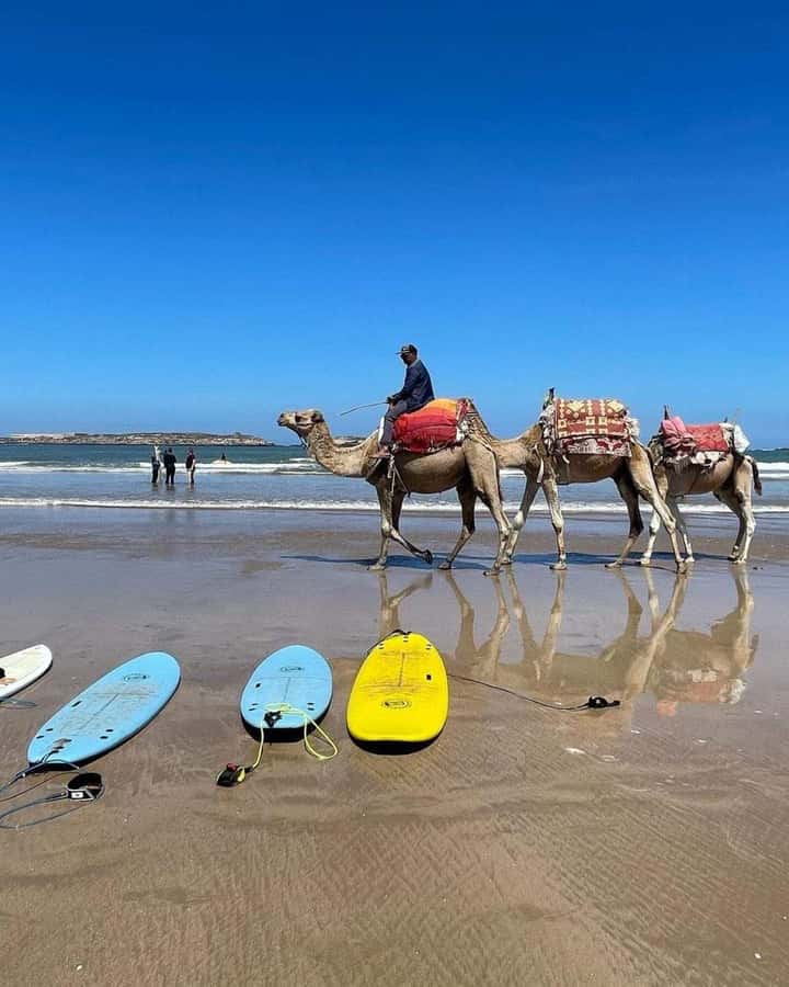 Exclusive Tangier Day Tour from Tarifa To Tanger with Tea - Place de la Kasbah: Fortress Views That Make the City Feel Smaller