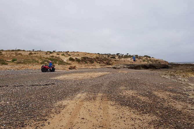 Excursion: 1H/Quad+1H/Camels (free transfer) - Short break and the gear reset