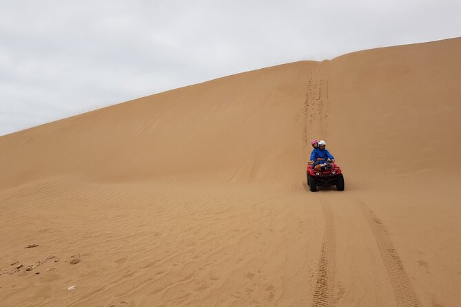 Excursion: 1H/Quad+1H/Camels (free transfer) - Free transfer and the return to your hotel