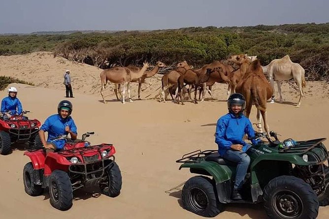 Excursion: 1H/Quad+1H/Camels (free transfer) - Who should book this quad + camel combo?