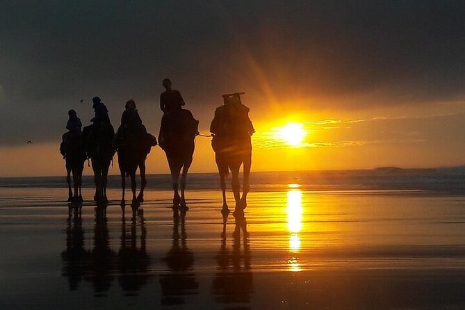 Excursion: 1H/Quad+1H/Camels (free transfer) - Price and value: is $64.75 per person worth it?