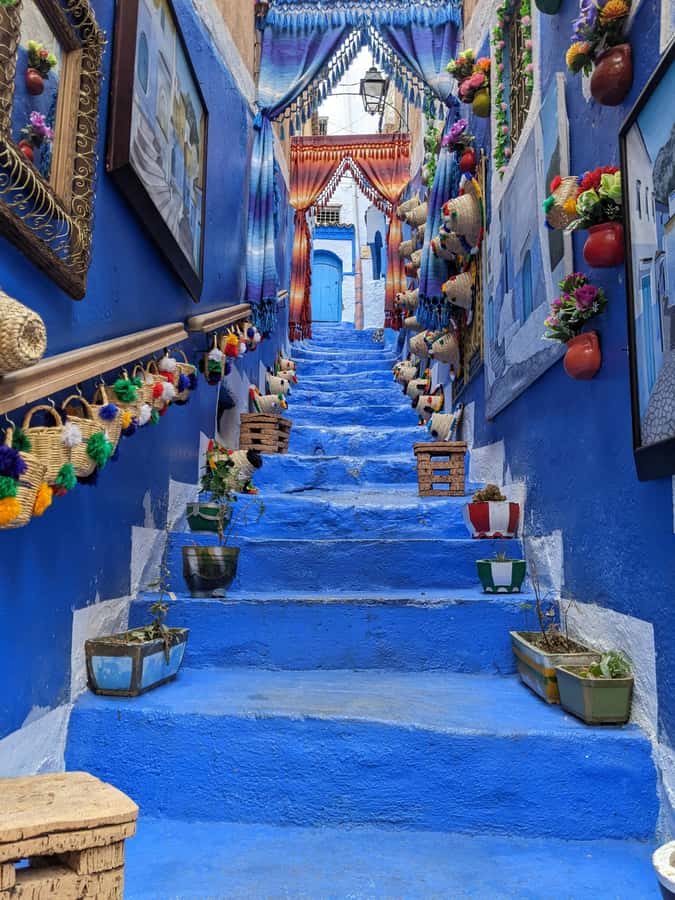 Excursión a chafchauen desde Tánger de un día - Who should book this Chefchaouen day trip?
