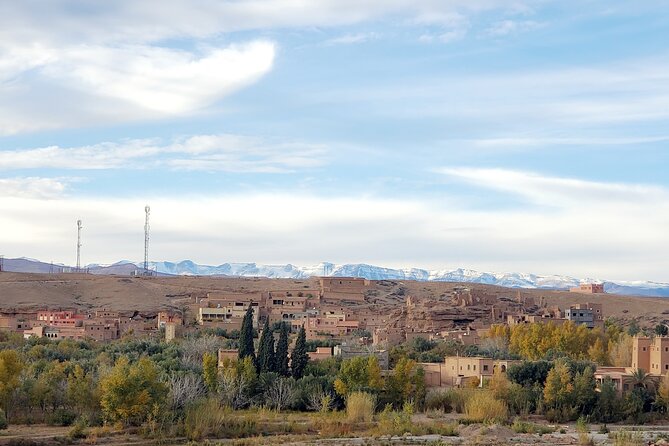 Excursion De Casablanca - Ifrane, Azrou, and cedar forest apes before Merzouga
