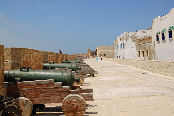 Excursion Essaouira from agadir 1 day - Argan tree country: a small detail with big payoff
