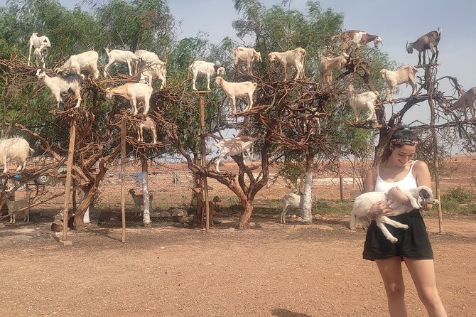 Excursion Essaouira from Marrakech - Key things to know before you go