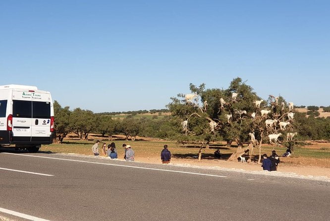 Excursion Essaouira from Marrakech - Price and logistics: why $21 can feel great or not worth it