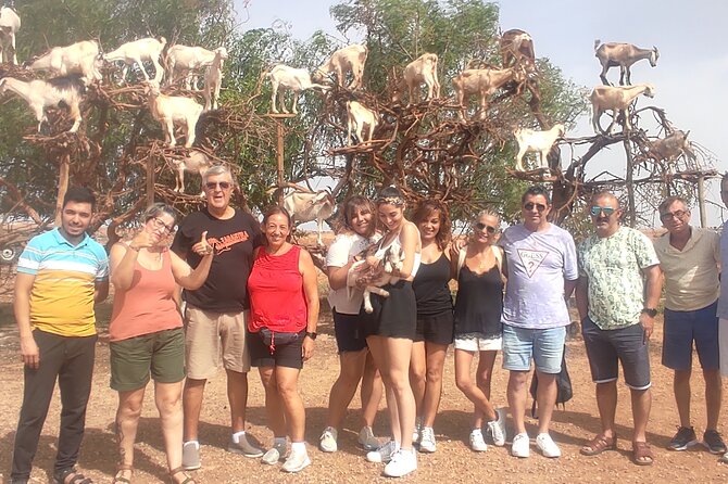 Excursion Essaouira from Marrakech - Comfort check: vehicles, music, and the small-group promise