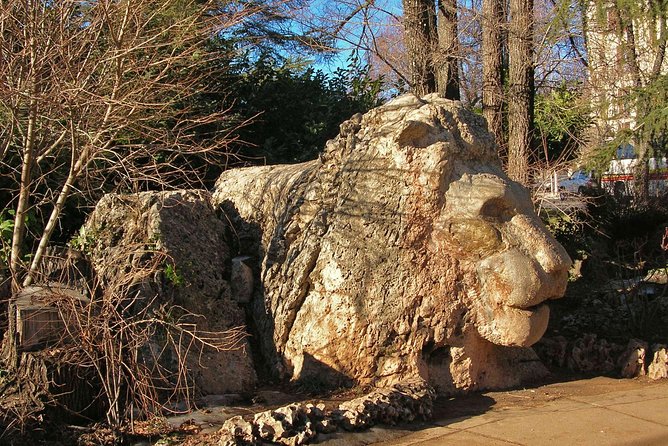 Excursion from Fez to Midle Atlas - Cedar forest with monkeys near Azrou: the highlight stop