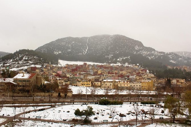 Excursion From Fez to the Middle Atlas Mountains - Azrou cedar forest walk: nature time, possible monkeys, and real photo chances
