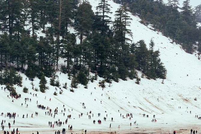 Excursion From Fez to the Middle Atlas Mountains - Ifrane, the little Switzerland: crisp air, lakes, and a stone lion photo