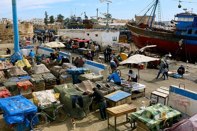 Excursion Full Day (Private) from Marrakech to Essaouira - Lunch break: fresh fish at your expense (and how to use that time well)