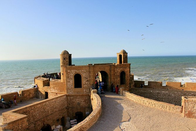 Excursion : Full Day Trip to Essaouira Mogador from Marrakech - Price and Logistics: Is $71.59 Good Value?