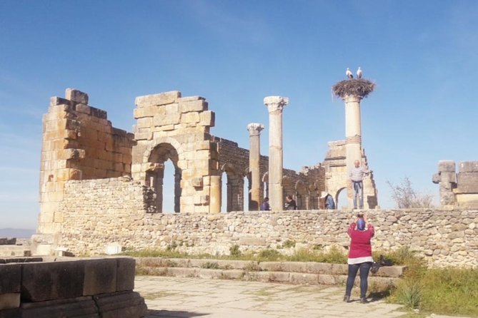 Excursion Meknes Volubilis - Getting there comfortably: pickup, WiFi, and an air-conditioned van