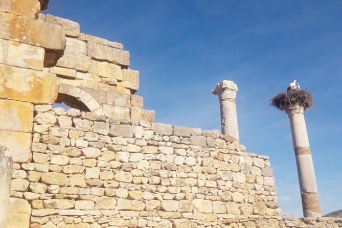 Excursion Meknes Volubilis - What to expect from the guide-driver experience