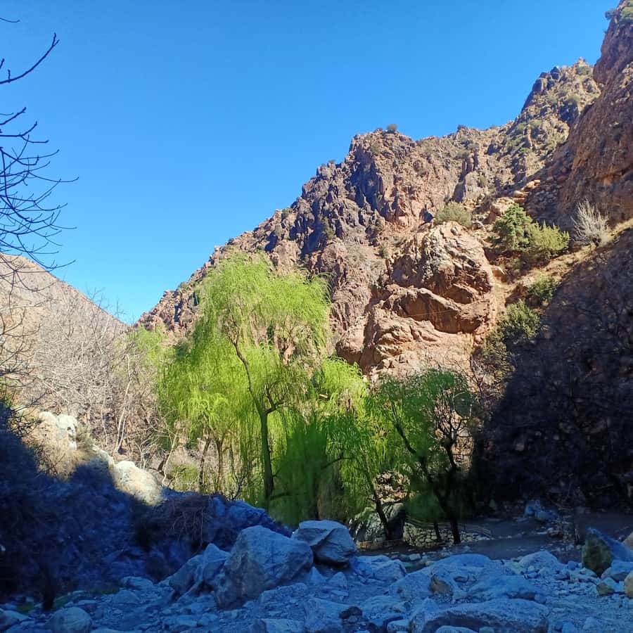 Excursion Ourika valley and atlas mountains with Lunch - Price and Value for About $13: Solid for a Full-Day Mix