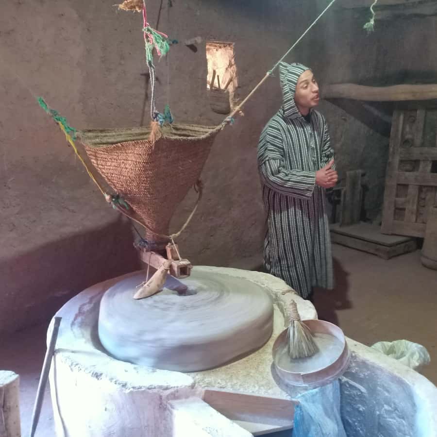 Excursion Ourika valley and atlas mountains with Lunch - A Nature Day From Marrakech: Ourika Valley and Setti Fatma Falls