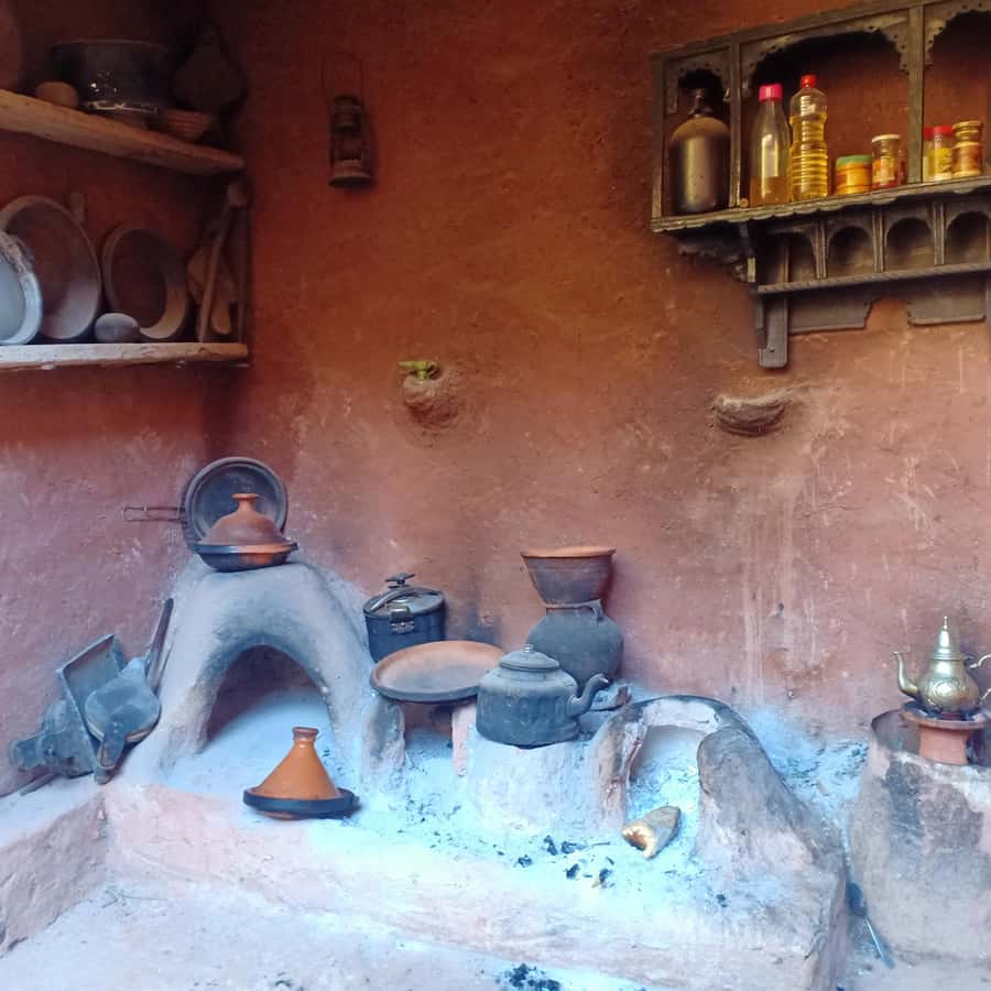 Excursion Ourika valley and atlas mountains with Lunch - The Argan Oil Women’s Cooperative: What You’re Really Paying For