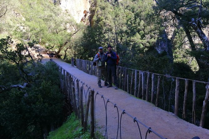 Excursion to Akchour's bridge of god (From Chefchaouen) - Key highlights you’ll feel right away
