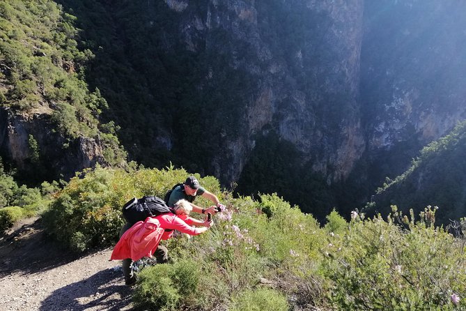 Excursion to Akchour's bridge of god (From Chefchaouen) - Farda Canyon to God’s Bridge: pools, waterfalls, and the natural rhythm