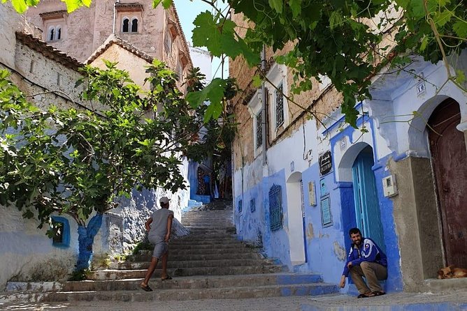Excursion to Chefchaouen (The Blue City) from Tangier - Comfort and accessibility: what to expect from transport and staff help