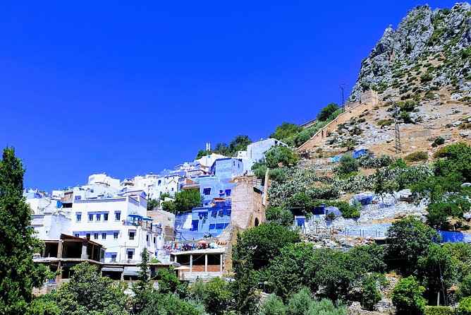 Excursion to Chefchaouen (The Blue City) from Tangier - Stop in the medina: main square, kasbah area, and Great Mosque vibes