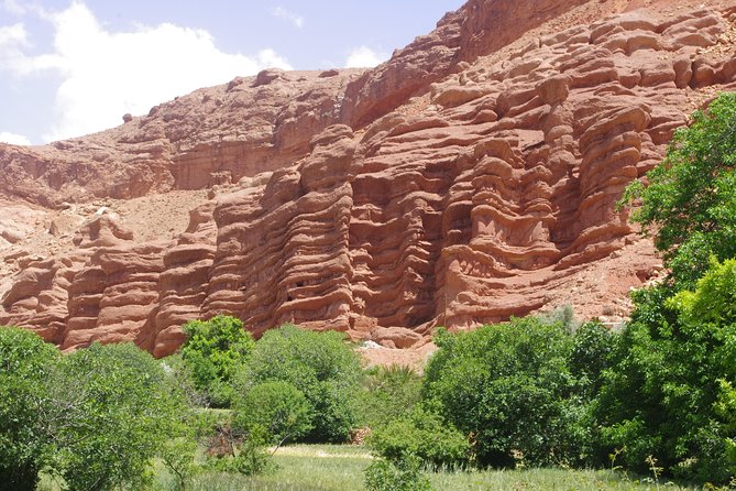 Excursion to Gorge Dades and Canyon Fingers of Monkey Morocco - The Valley of the Roses: what you’ll look for besides perfume